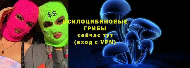 Галлюциногенные грибы Cubensis  Закаменск 